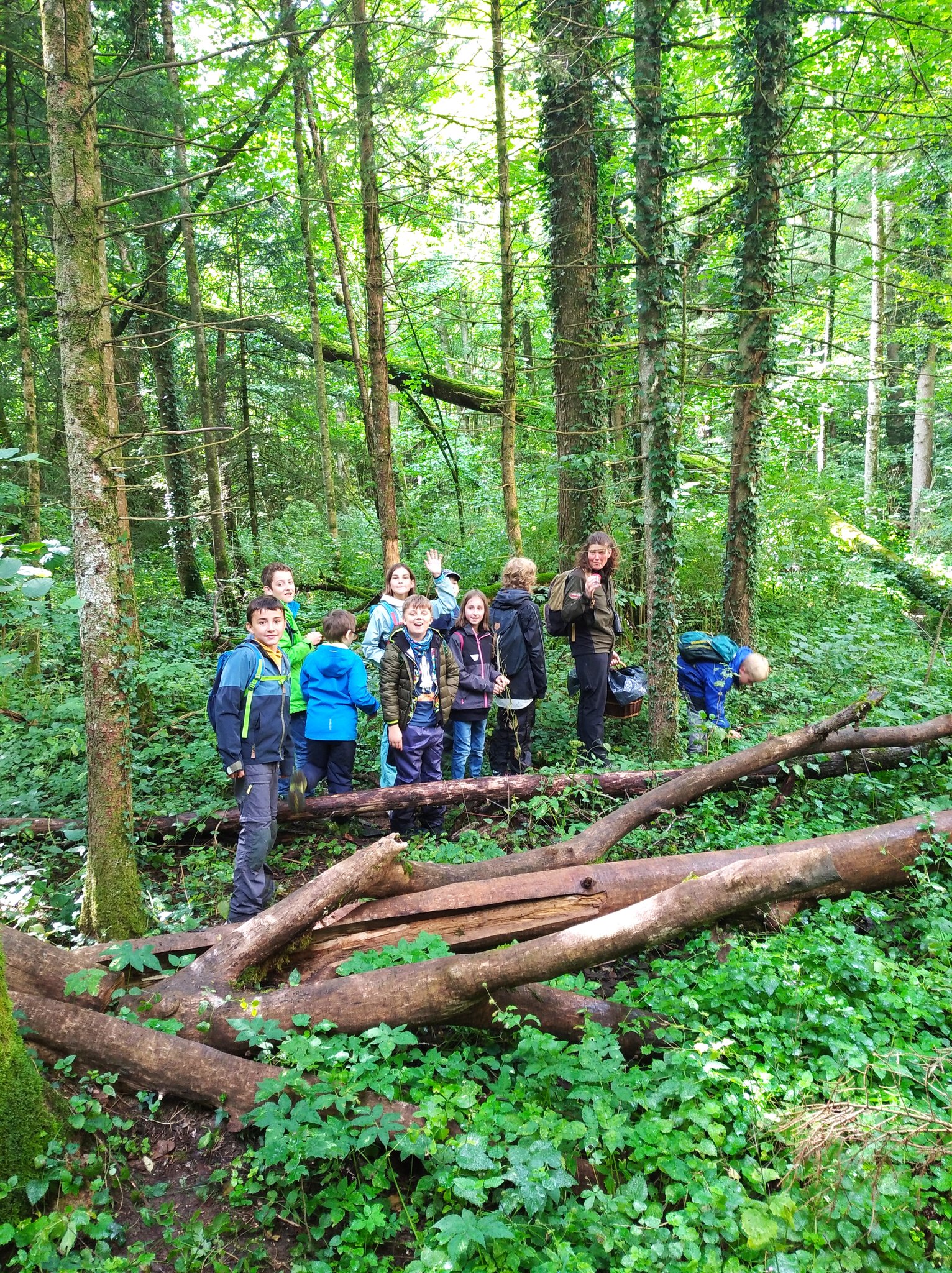 Auf Spurensuche mit der Rangerin