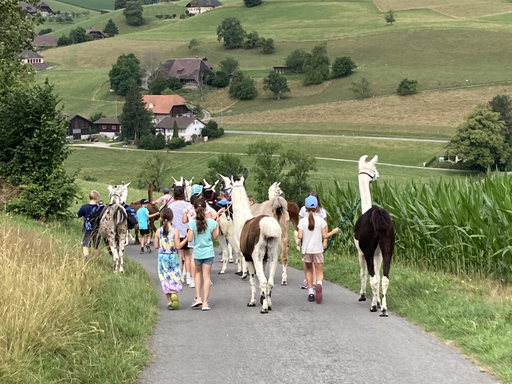 Lamatrekking