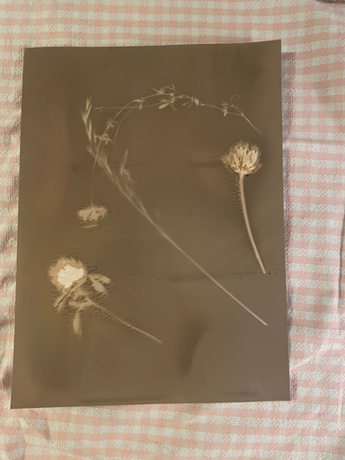 Analoge Fotografie